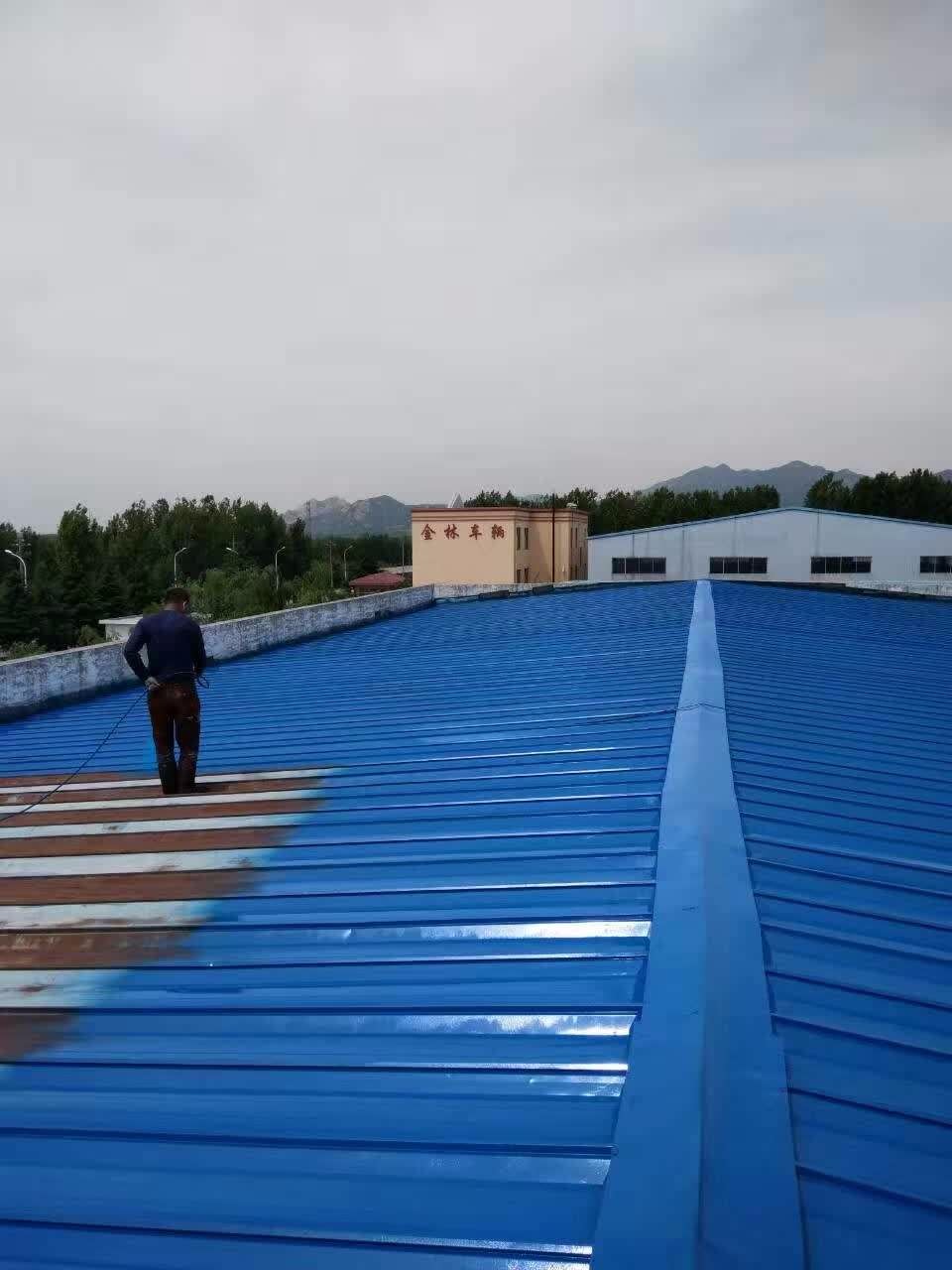 彩鋼瓦蜜桃视频APP下载入口