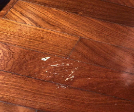 油漆蜜桃视频APP下载入口